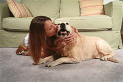 Red Stain Removal The Woodlands Carpet Cleaning 832 791 4210 Carpet Cleaning In Spring Texas Customer Reviews2 The