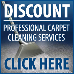discount carpet cleaners pro Friendswood